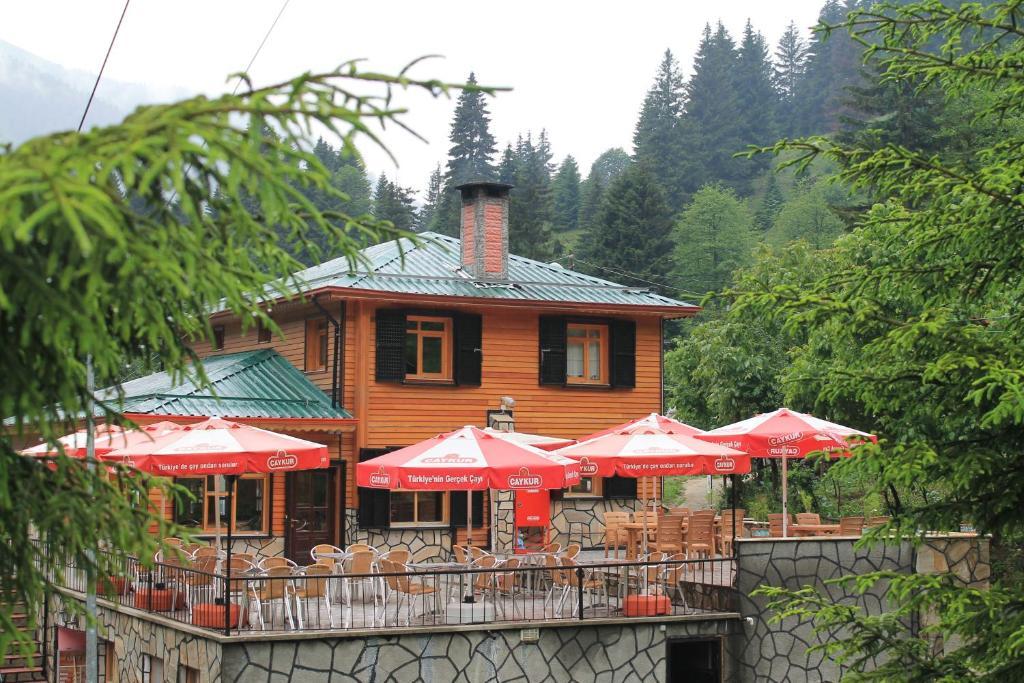 Ayder Avusor Hotel Экстерьер фото